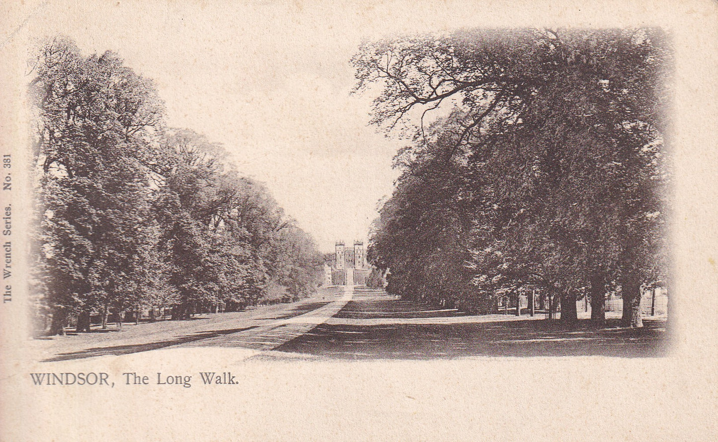 Postcard - The Long Walk, Windsor, Berkshire, England - Printed - Posted