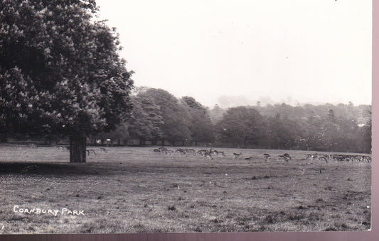 Postcard - Cornbury Park, Charlbury, Oxfordshire, England - RPPC - Unposted