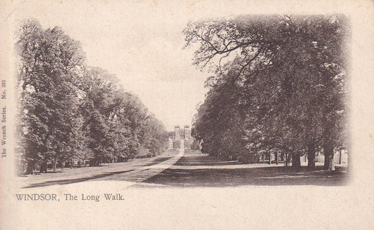 Postcard - The Long Walk, Windsor, Berkshire, England - Printed - Posted