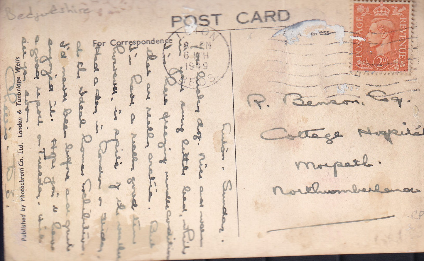 Postcard - Wardown Park, Luton, Bedfordshire, England - RPPC - Unposted