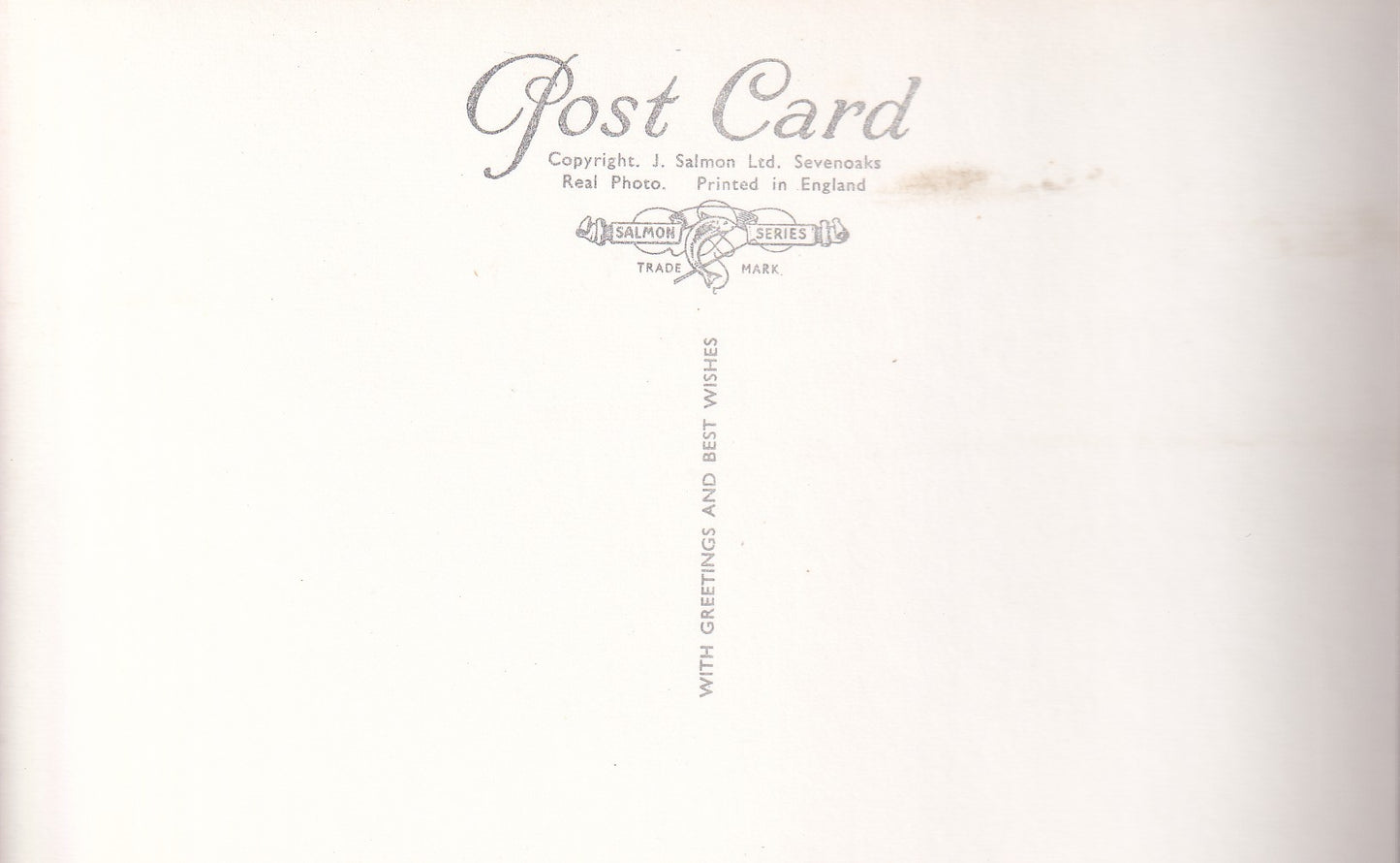 Postcard - Castle Hill, Windsor Castle, Windsor, Berkshire, England - RPPC - Unposted