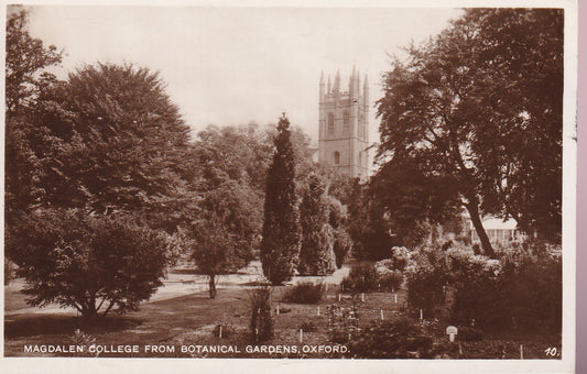 Postcard - Magdalen College from Botanical Gardens, Oxford, Oxfordshire, England - RPPC - Posted